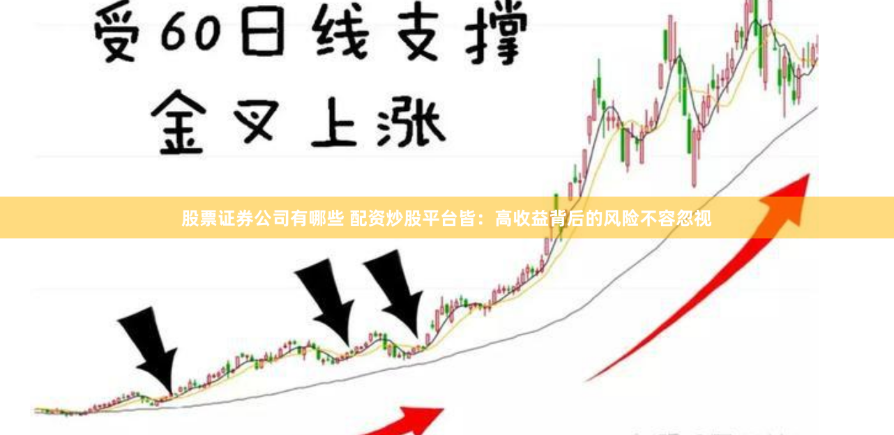股票证券公司有哪些 配资炒股平台皆：高收益背后的风险不容忽视