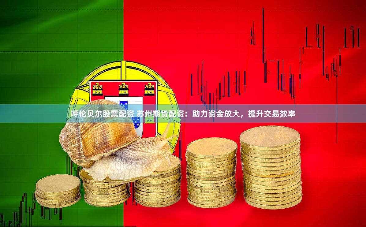 呼伦贝尔股票配资 苏州期货配资：助力资金放大，提升交易效率
