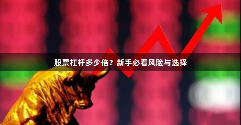 股票杠杆多少倍？新手必看风险与选择
